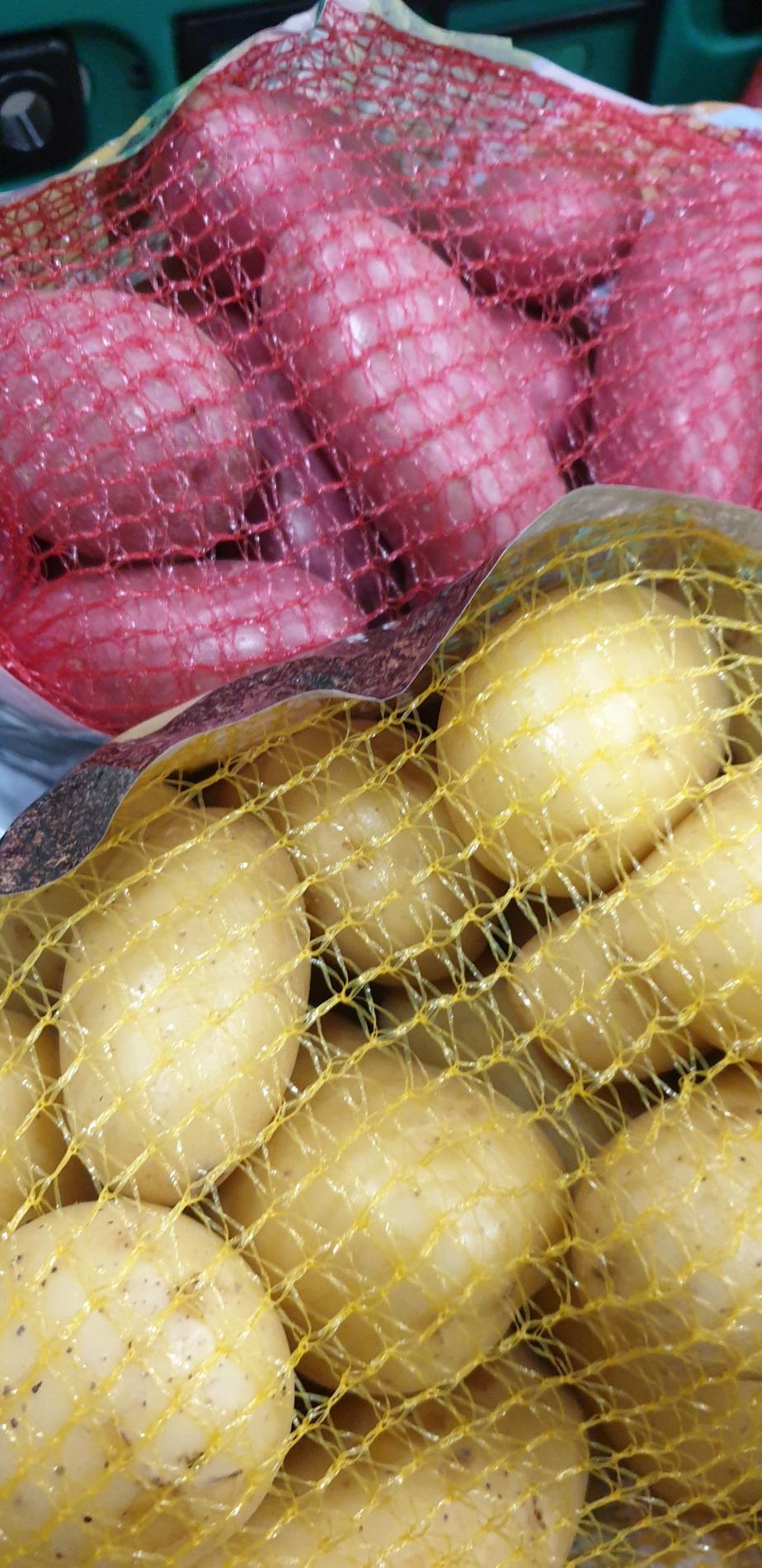 Pommes de terre nouvelle récolte