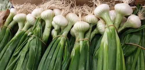 Nouveau produit en Auvergne