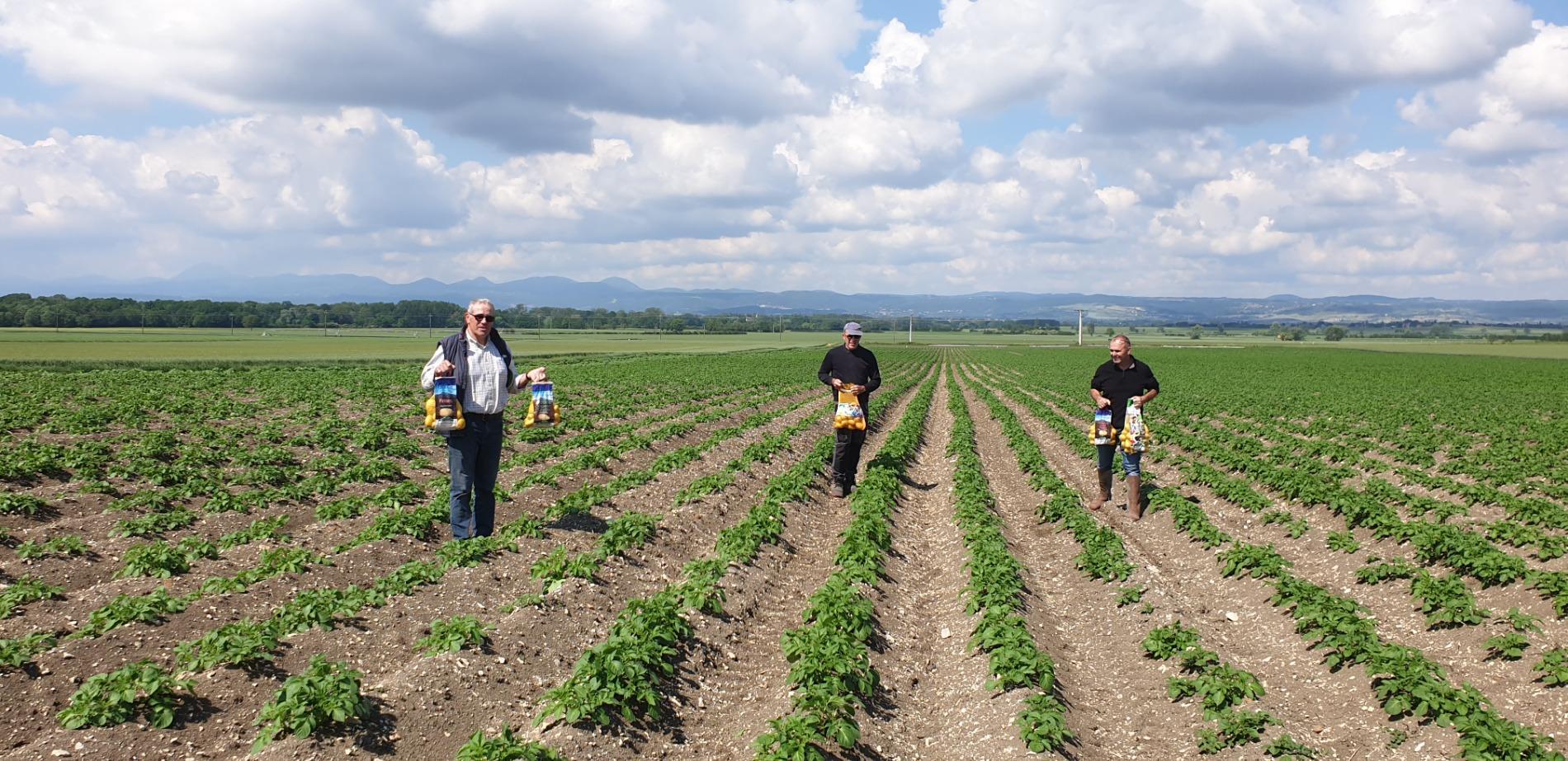 Nos producteurs de pommes de terre