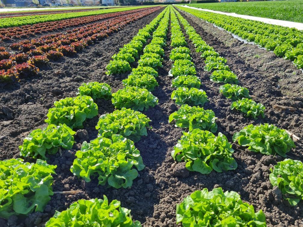 Notre zone de production