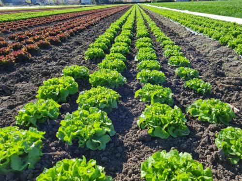 Notre zone de production